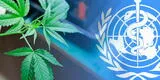 ONU reconoce las utilidades y propiedades médicas del cannabis