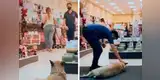 Creen que vendedor echará a un perro callejero de su local, pero se sorprenden con su noble gesto [VIDEO]