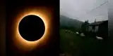 Eclipse solar 2020: ovejas se fueron a dormir pensando que era de noche en Chile [VIDEO]