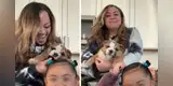 TikTok: Madre intenta grabar un video familiar y su perro le arruina el peinado a su hija [VIDEO]