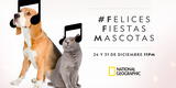 4° Edición de Felices Fiestas, Mascotas en NatGeo.