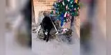 Busca desesperadamente a su perro y lo encuentra escondido en el nacimiento [VIDEO]