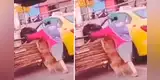 Graban a perrito empujando la carretilla de su dueña en plena calle y escena se vuelve viral [VIDEO]