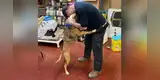 Abraza a su mascota que se perdió en un accidente y juntos protagonizan emotiva escena [FOTOS]
