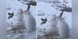 Capta a conejo comiendo la nariz de zanahoria de su muñeco de nieve y la travesura se vuelve viral [VIDEO]