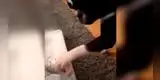 Perrito tiene tierna reacción al ver por primera vez al bebé recién nacido de su dueña [VIDEO]