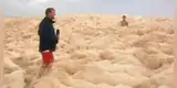 ¿Mar apocalíptico? Extraño fenómeno de espuma aparece en Australia y arrastra serpientes marinas [VIDEO]