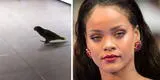 Loro sorprende a todos al cantar ‘The Monster’ de Rihanna con gran habilidad [VIDEO]