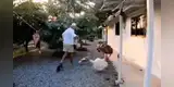 Hombre es perseguido por sus animales de granja y la curiosa escena es viral en TikTok [VIDEO]