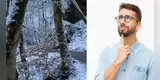 Reto visual: ¿Puedes encontrar al perro dálmata oculto en la nieve en menos de 20 segundos? [FOTOS]