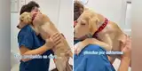 Perrito es curado por una veterinaria y este le ‘agradece’ con tierno abrazo [VIDEO]