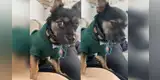 Perro toca el vientre de su dueña embarazada y se 'sorprende' al sentir las pataditas del bebé [VIDEO]