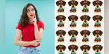 ¿Ves al cachorro distinto en la imagen? Un reto visual difícil de resolver [FOTOS]