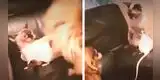 Gatito defiende a un pequeño ratón del ataque de un perro y el video sorprende a todos [VIDEO]
