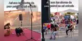 Perros protagonizan 'show infantil' y entretienen a niños con sus travesuras sobre el escenario [VIDEO]
