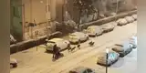 Hombre pasea en trineo con sus perros durante histórica tormenta de nieve en España [VIDEO]