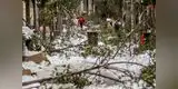 España: Madrid colapsa por la histórica tormenta de nieve que deja al menos 4 muertos [FOTOS]