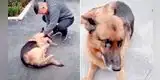 Perrita policía 'llora' al reencontrarse con su dueño tras permanecer años separados [VIDEO]