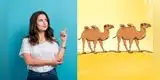 ¿Logras ver el error en la imagen de los camellos en el desierto? El reto viral que nadie supera [FOTOS]