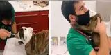 Veterinario se vuelve viral por revelar su truco para vacunar a un perro sin generarle molestia [VIDEO]