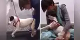 Perrita vuelve a caminar tras pasar por rehabilitación y escena conmueve a miles [VIDEO]