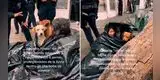 ¡Amor incondicional! Anciana se niega a dejar las calles por temor a que la separen de sus perros [VIDEO]
