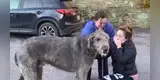 El conmovedor reencuentro de una mujer con su perro tras perderlo en un accidente [VIDEO]