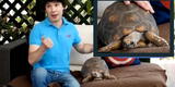 Bruno Pinasco relató cómo adoptó a su tortuga: “La habían tirado a la basura” [VIDEO]