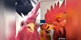 Gallos realizan parodia de “Ella y yo” de Aventura y divierten a todos en TikTok [VIDEO]