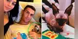 Cristiano Ronaldo sufre por atropello de su gatito: Llevan al felino a España en un jet privado