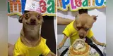 Familia celebra el cumpleaños de su perro y su curiosa reacción causa furor en Facebook  [FOTOS]