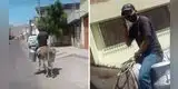 Hombre que montaba su burro es ‘detenido’ por conducir hablando por celular [VIDEO]