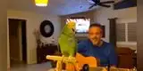 Loro se vuelve viral por silbar cada vez que su dueño toca la guitarra [VIDEO]