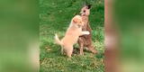 Captan el tierno momento entre un perrito y un canguro bebé [VIDEO]
