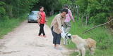 Tailandia: un perrito se reencuentra con su antigua familia a la que esperó 4 años en una carretera