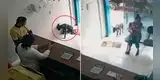 Perrito callejero ‘pidió ayuda’ en clínica veterinaria para que le curen una pata herida [VIDEO]