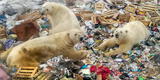 Rusia evalúa enviar a sus presos a limpiar una zona altamente contaminada del Ártico