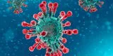 Bélgica: investigadores descubren una posible nueva variante de coronavirus