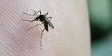Minsa sobre el dengue: "Se ha dispersado en pequeñas cantidades en todos los distritos de Lima"