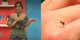 Ethel Pozo sobre brote de dengue: “Parecen las 7 plagas” [VIDEO]