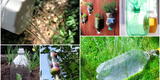 No las botes: ¿Cómo se pueden usar las botellas de plásticos en la jardinería?