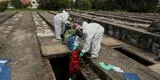 Brasil: Sao Paulo comienza a exhumar tumbas viejas para hacer espacio a los muertos por COVID-19