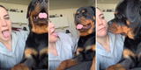 Mujer imita a su perro y este tiene peculiar reacción al escucharla [VIDEO]