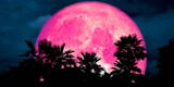 Calendario lunar 2021: Cuándo y cómo ver la Superluna rosa y todas las fases en abril