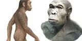 La evolución del hombre: el Homo habilis