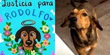 ¡Justicia para 'Rodolfo'! Convocan marcha por perrito asesinado a machetazos en México [VIDEO]