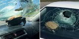 Adulta mayor resultó herida luego de que tortuga impactara contra su auto [FOTOS]