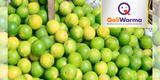 Qali Warma: recomiendan consumo del limón tumbesino por al alto contenido de vitamina C