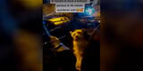 Hombre que trabaja como taxista lleva a su perro en el auto para no dejarlo solo en casa [VIDEO]