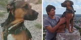 Argentina: perrito muere tras salvar la vida de su dueño de presuntos delincuentes